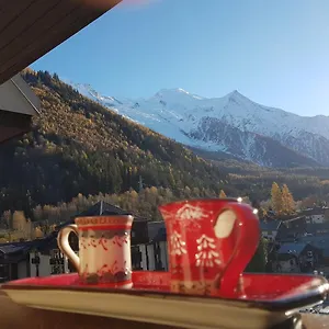 Vue Montblanc Magique En Centre-ville Avec Parking Chamonix