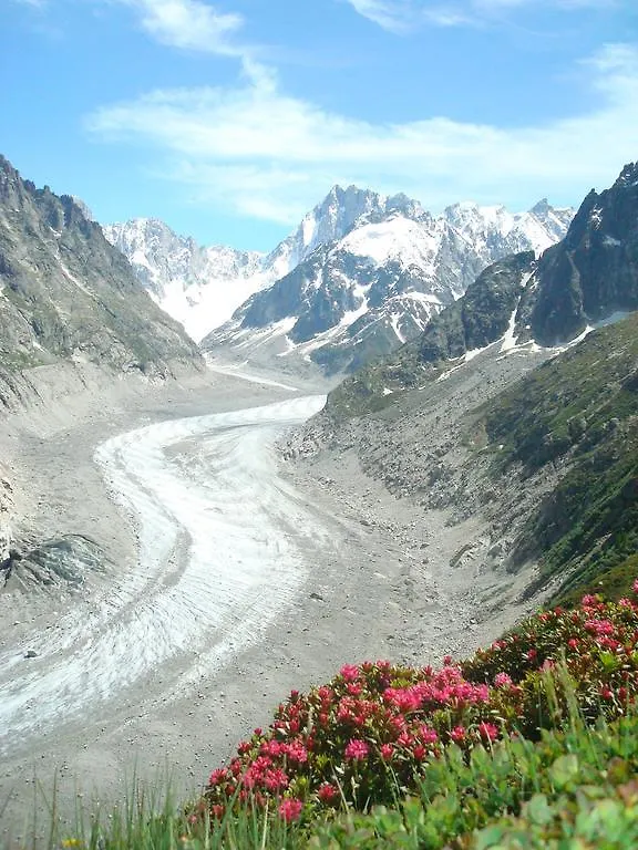 Appartement Les Arolles Chamonix