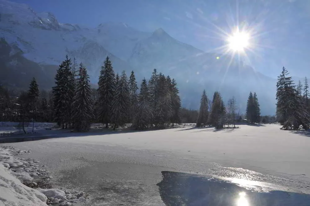 Appartement Les Arolles Chamonix