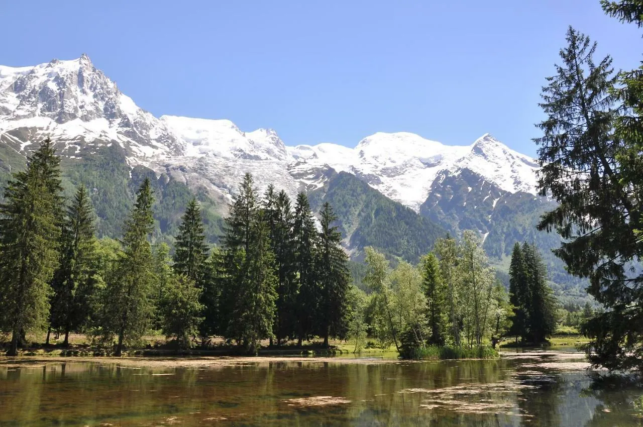 Appartement Les Arolles Chamonix